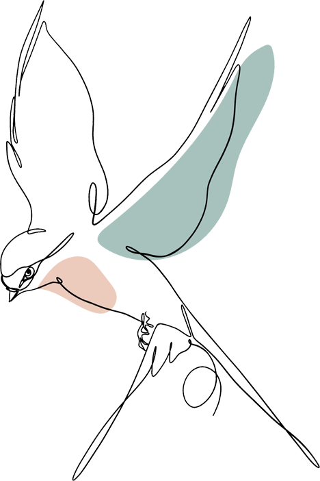 bird