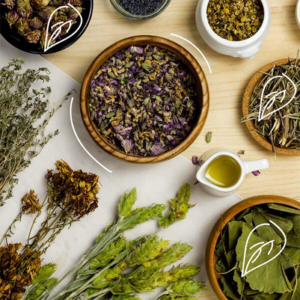 spice-up-your-life-simple-steps-to-embrace-ayurvedic-living